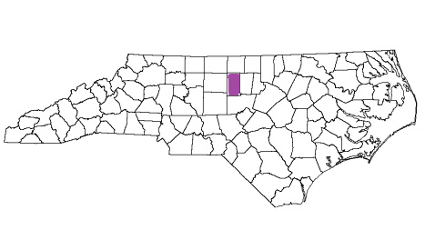 north carolina fire, north carolina firefighters, nc firefighters, nc fire, north carolina fire department, alamance county, alamance county ems, alamance county fire apparatus, alamance county fire departments