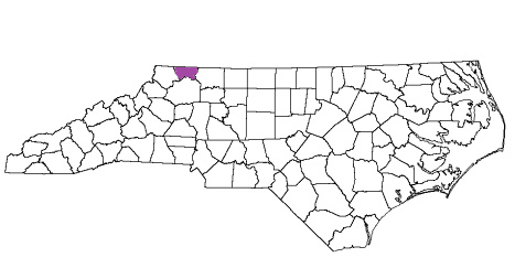 north carolina fire, north carolina firefighters, nc firefighters, nc fire, north carolina fire department, alleghany county, alleghany county ems, alleghany county fire apparatus, alleghany county fire departments