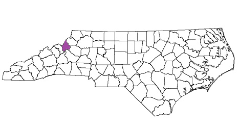 north carolina fire, north carolina firefighters, nc firefighters, nc fire, north carolina fire department, avery county, avery county ems, avery county fire apparatus, avery county fire departments