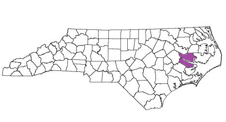 north carolina fire, north carolina firefighters, nc firefighters, nc fire, north carolina fire department, beaufort county, beaufort county ems, beaufort county fire apparatus, beaufort county fire departments