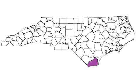 north carolina fire, north carolina firefighters, nc firefighters, nc fire, north carolina fire department, brunswick county, brunswick county ems, brunswick county fire apparatus, brunswick county fire departments