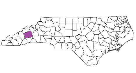 north carolina fire, north carolina firefighters, nc firefighters, nc fire, north carolina fire department, buncombe county, buncombe county ems, buncombe county fire apparatus, buncombe county fire departments