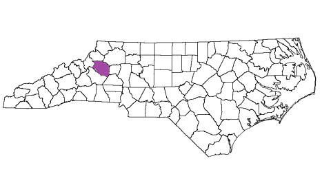 north carolina fire, north carolina firefighters, nc firefighters, nc fire, north carolina fire department, caldwell county, caldwell county ems, caldwell county fire apparatus, caldwell county fire departments