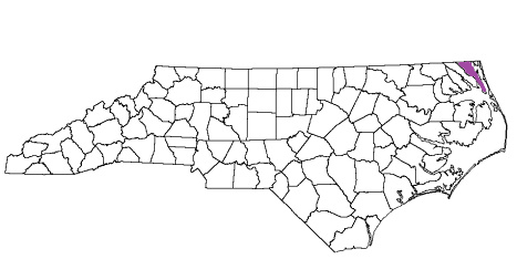 north carolina fire, north carolina firefighters, nc firefighters, nc fire, north carolina fire department, camden county, camden county ems, camden county fire apparatus, camden county fire departments