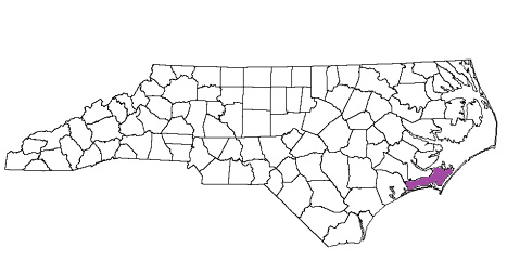 north carolina fire, north carolina firefighters, nc firefighters, nc fire, north carolina fire department, carteret county, carteret county ems, carteret county fire apparatus, carteret county fire departments