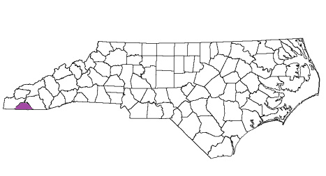 north carolina fire, north carolina firefighters, nc firefighters, nc fire, north carolina fire department, clay county, clay county ems, clay county fire apparatus, clay county fire departments