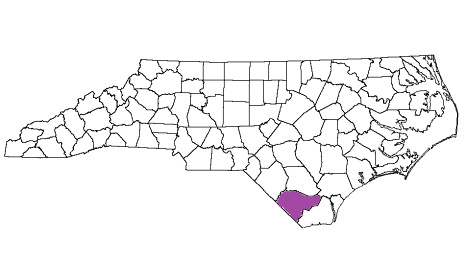 north carolina fire, north carolina firefighters, nc firefighters, nc fire, north carolina fire department, columbus county, columbus county ems, columbus county fire apparatus, columbus county fire departments