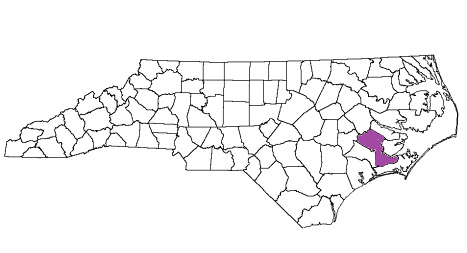 north carolina fire, north carolina firefighters, nc firefighters, nc fire, north carolina fire department, craven county, craven county ems, craven county fire apparatus, craven county fire departments