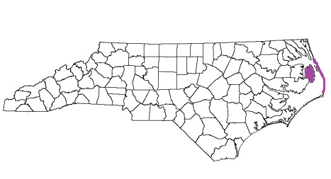 north carolina fire, north carolina firefighters, nc firefighters, nc fire, north carolina fire department, dare county, dare county ems, dare county fire apparatus, dare county fire departments