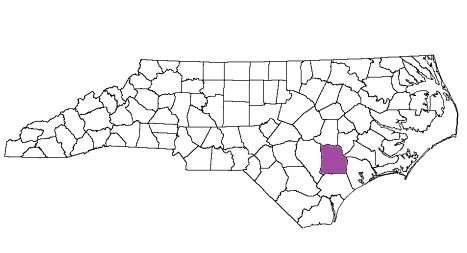 north carolina fire, north carolina firefighters, nc firefighters, nc fire, north carolina fire department, duplin county, duplin county ems, duplin county fire apparatus, duplin county fire departments