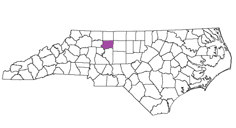 north carolina fire, north carolina firefighters, nc firefighters, nc fire, north carolina fire department, forsyth county, forsyth county ems, forsyth county fire apparatus, forsyth county fire departments