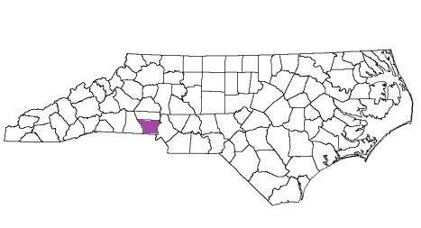 north carolina fire, north carolina firefighters, nc firefighters, nc fire, north carolina fire department, gaston county, gaston county ems, gaston county fire apparatus, gaston county fire departments