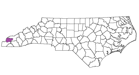 north carolina fire, north carolina firefighters, nc firefighters, nc fire, north carolina fire department, graham county, graham county ems, graham county fire apparatus, graham county fire departments