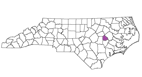 north carolina fire, north carolina firefighters, nc firefighters, nc fire, north carolina fire department, greene county, greene county ems, greene county fire apparatus, greene county fire departments