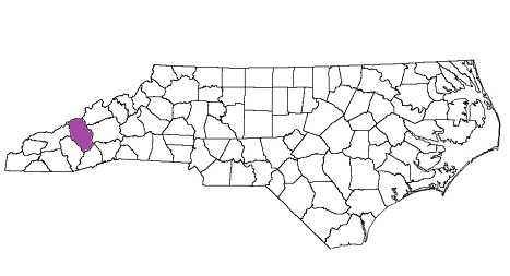 north carolina fire, north carolina firefighters, nc firefighters, nc fire, north carolina fire department, haywood county, haywood county ems, haywood county fire apparatus, haywood county fire departments