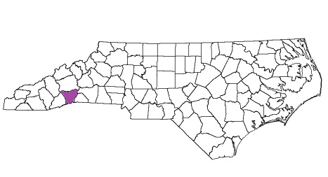 north carolina fire, north carolina firefighters, nc firefighters, nc fire, north carolina fire department, henderson county, henderson county ems, henderson county fire apparatus, henderson county fire departments