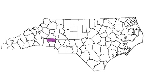 north carolina fire, north carolina firefighters, nc firefighters, nc fire, north carolina fire department, lincoln county, lincoln county ems, lincoln county fire apparatus, lincoln county fire departments