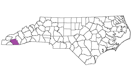 north carolina fire, north carolina firefighters, nc firefighters, nc fire, north carolina fire department, macon county, macon county ems, macon county fire apparatus, macon county fire departments