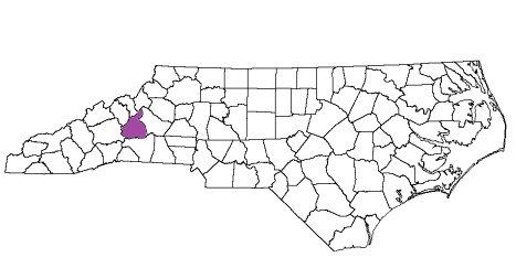 north carolina fire, north carolina firefighters, nc firefighters, nc fire, north carolina fire department, mcdowell county, mcdowell county ems, mcdowell county fire apparatus, mcdowell county fire departments