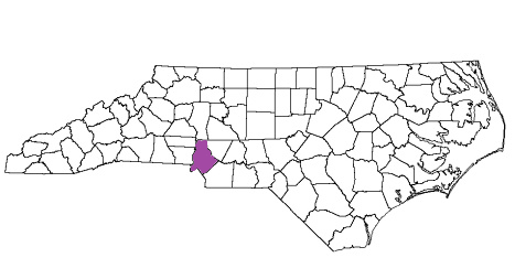 north carolina fire, north carolina firefighters, nc firefighters, nc fire, north carolina fire department, mecklenburg county, mecklenburg county ems, mecklenburg county fire apparatus, mecklenburg county fire departments