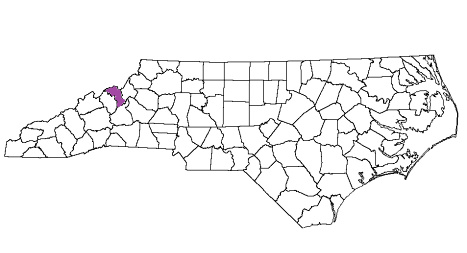 north carolina fire, north carolina firefighters, nc firefighters, nc fire, north carolina fire department, mitchell county, mitchell county ems, mitchell county fire apparatus, mitchell county fire departments