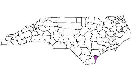 north carolina fire, north carolina firefighters, nc firefighters, nc fire, north carolina fire department, new hanover county, new hanover county ems, new hanover county fire apparatus, new hanover county fire departments