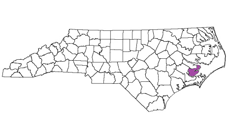 north carolina fire, north carolina firefighters, nc firefighters, nc fire, north carolina fire department, pamlico county, pamlico county ems, pamlico county fire apparatus, pamlico county fire departments