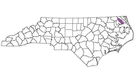 north carolina fire, north carolina firefighters, nc firefighters, nc fire, north carolina fire department, pasquotank county, pasquotank county ems, pasquotank county fire apparatus, pasquotank county fire departments