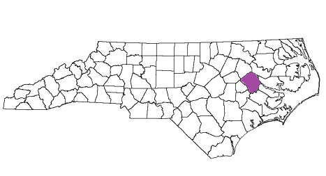 north carolina fire, north carolina firefighters, nc firefighters, nc fire, north carolina fire department, pitt county, pitt county ems, pitt county fire apparatus, pitt county fire departments