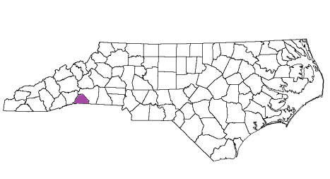 north carolina fire, north carolina firefighters, nc firefighters, nc fire, north carolina fire department, polk county, polk county ems, polk county fire apparatus, polk county fire departments