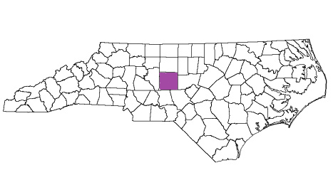 north carolina fire, north carolina firefighters, nc firefighters, nc fire, north carolina fire department, randolph county, randolph county ems, randolph county fire apparatus, randolph county fire departments