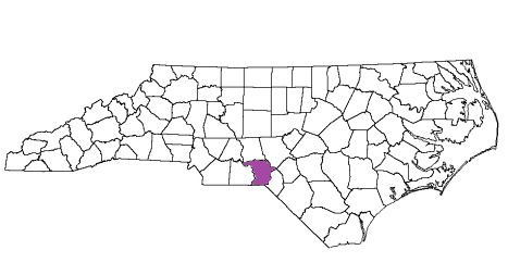 north carolina fire, north carolina firefighters, nc firefighters, nc fire, north carolina fire department, richmond county, richmond county ems, richmond county fire apparatus, richmond county fire departments
