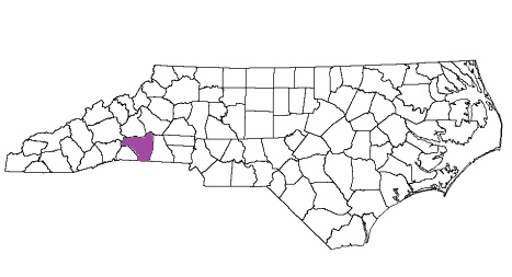 north carolina fire, north carolina firefighters, nc firefighters, nc fire, north carolina fire department, rutherford county, rutherford county ems, rutherford county fire apparatus, rutherford county fire departments