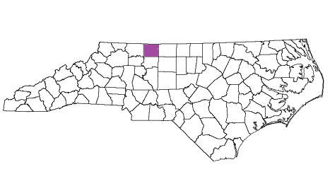 north carolina fire, north carolina firefighters, nc firefighters, nc fire, north carolina fire department, stokes county, stokes county ems, stokes county fire apparatus, stokes county fire departments