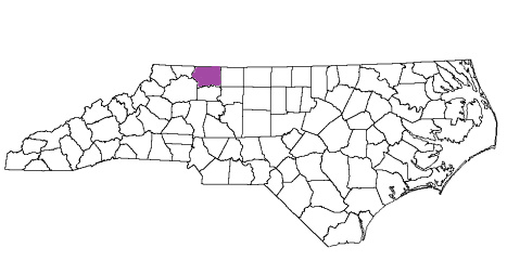 north carolina fire, north carolina firefighters, nc firefighters, nc fire, north carolina fire department, surry county, surry county ems, surry county fire apparatus, surry county fire departments