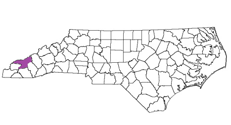 north carolina fire, north carolina firefighters, nc firefighters, nc fire, north carolina fire department, swain county, swain county ems, swain county fire apparatus, swain county fire departments