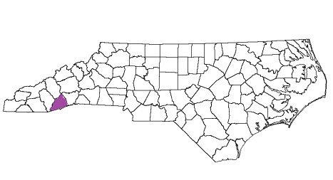 north carolina fire, north carolina firefighters, nc firefighters, nc fire, north carolina fire department, transylvania county, transylvania county ems, transylvania county fire apparatus, transylvania county fire departments