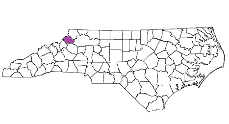 north carolina fire, north carolina firefighters, nc firefighters, nc fire, north carolina fire department, watauga county, watauga county ems, watauga county fire apparatus, watauga county fire departments