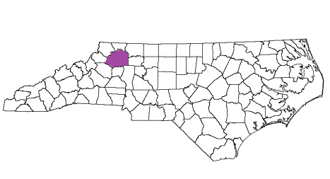 north carolina fire, north carolina firefighters, nc firefighters, nc fire, north carolina fire department, wilkes county, wilkes county ems, wilkes county fire apparatus, wilkes county fire departments