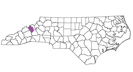 north carolina fire, north carolina firefighters, nc firefighters, nc fire, north carolina fire department, yancey county, yancey county ems, yancey county fire apparatus, yancey county fire departments